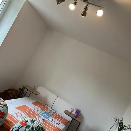 Homestay Appt Paviot